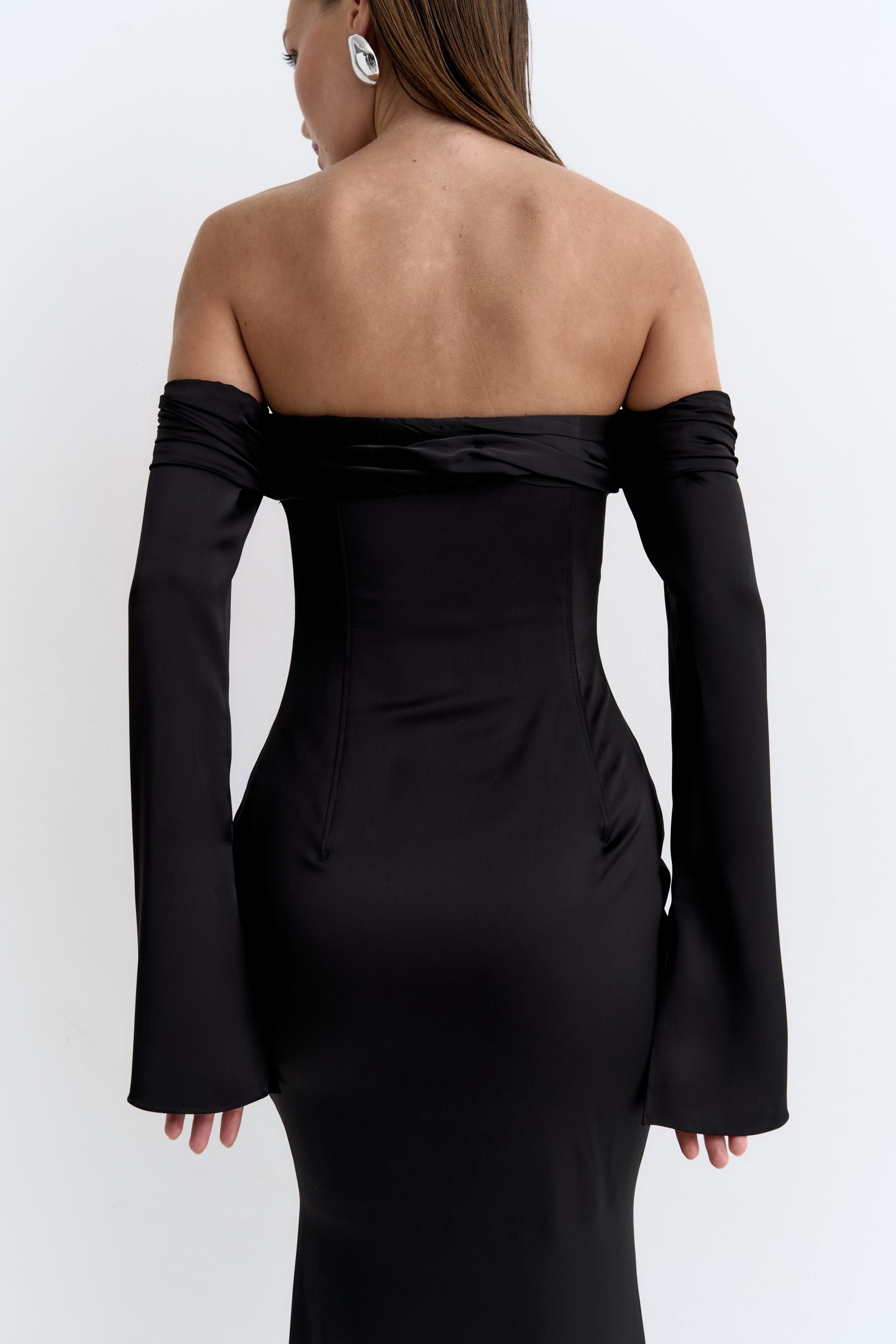 Swan black